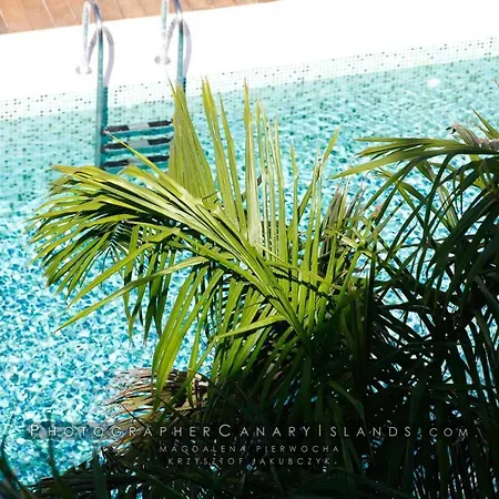 公寓 Il Distinto - Luxury Swimming Pool View House *